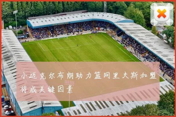 小迈克尔布朗助力篮网里夫斯加盟将成关键因素