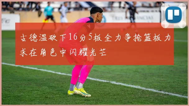 古德温砍下16分5板全力争抢篮板力求在角色中闪耀光芒